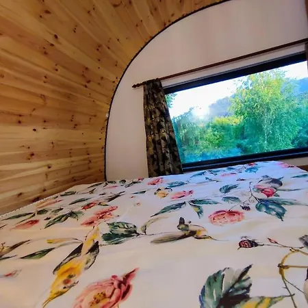 Guitar House - Symphony Holiday home *