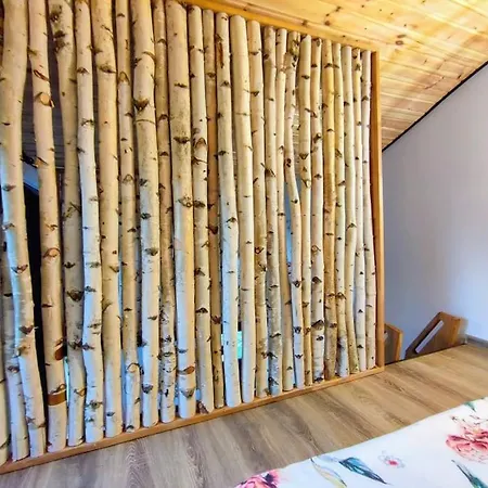 Guitar House - Symphony Holiday home Risnov